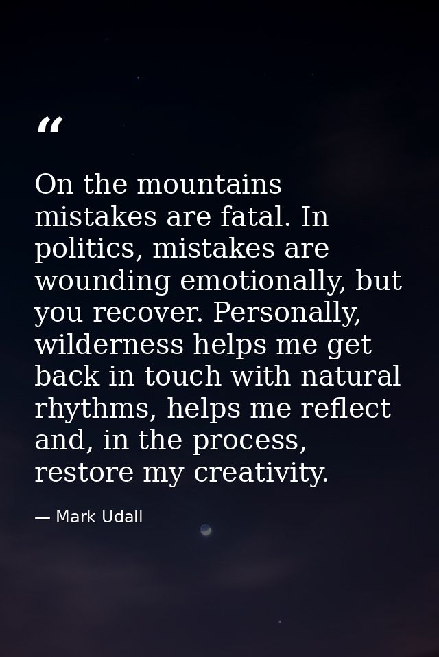 On the mountains mistakes are fatal. In politics, mistakes are wounding emotionally, but you recover. Personally, wilder — Mark Udall