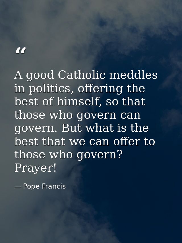 A good Catholic meddles in politics, offering the best of himself, so that those who govern can govern. But what is the  — Pope Francis
