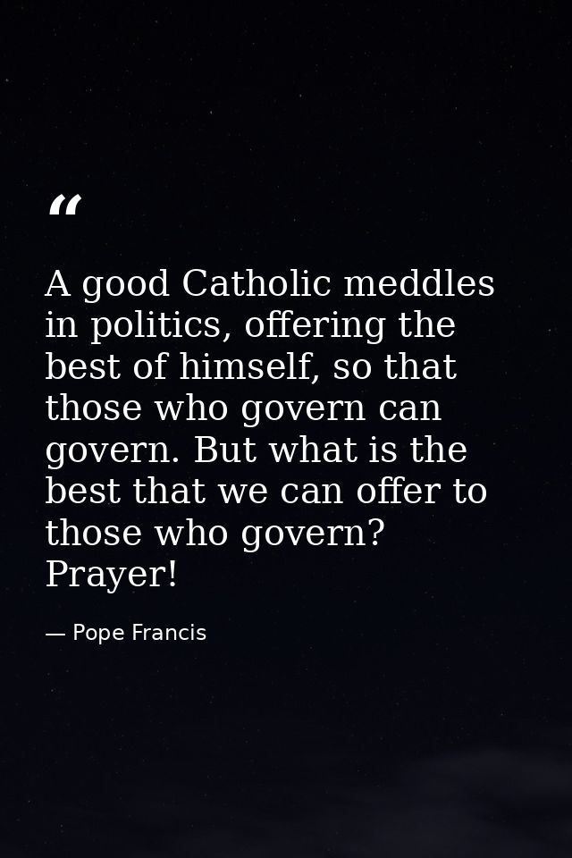 A good Catholic meddles in politics, offering the best of himself, so that those who govern can govern. But what is the  — Pope Francis