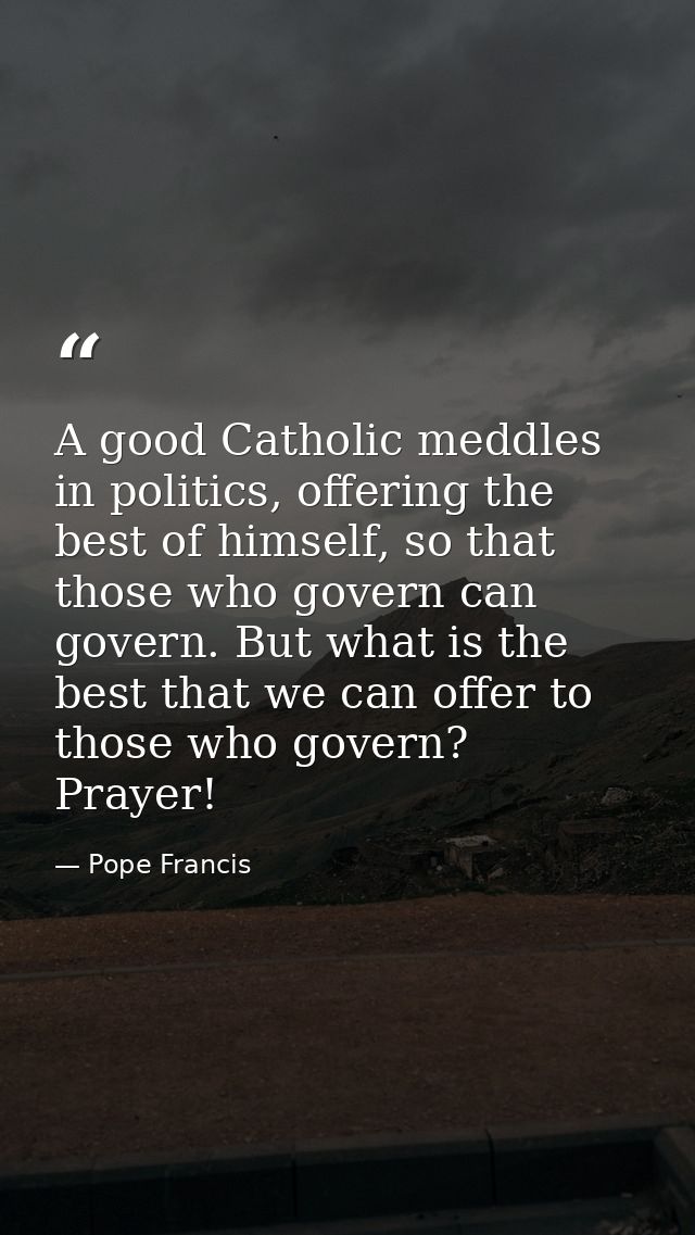 A good Catholic meddles in politics, offering the best of himself, so that those who govern can govern. But what is the  — Pope Francis