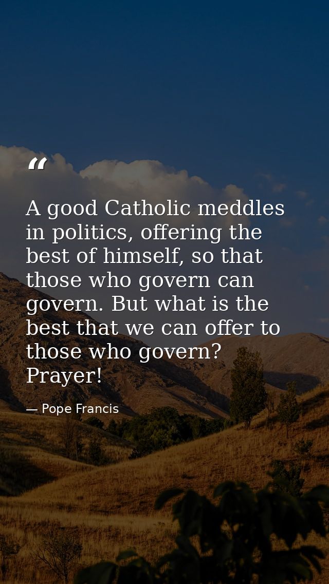 A good Catholic meddles in politics, offering the best of himself, so that those who govern can govern. But what is the  — Pope Francis