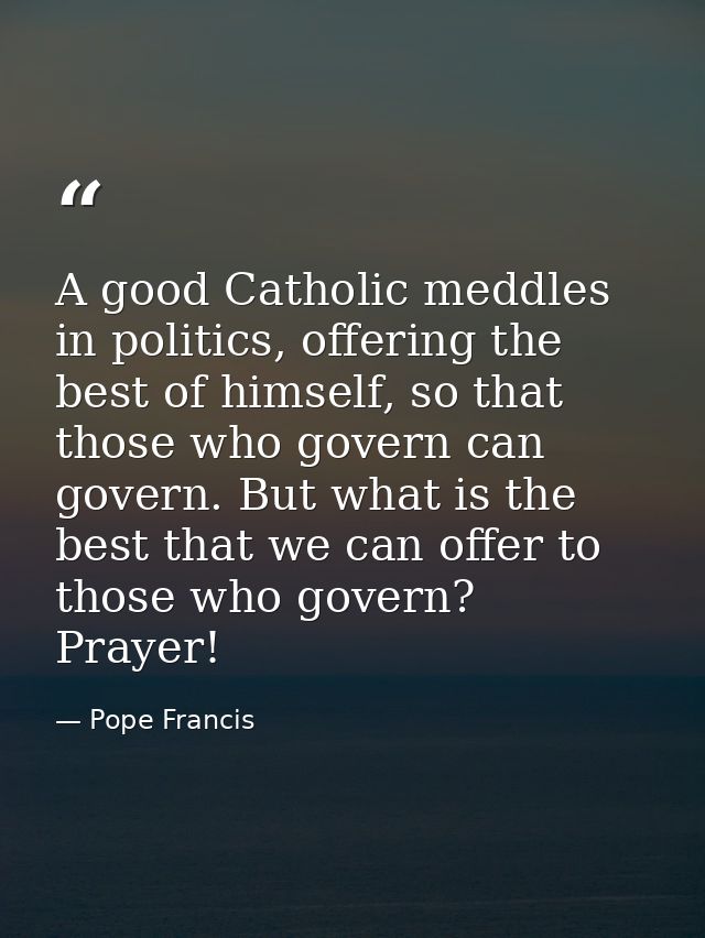 A good Catholic meddles in politics, offering the best of himself, so that those who govern can govern. But what is the  — Pope Francis