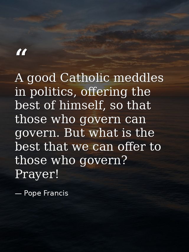 A good Catholic meddles in politics, offering the best of himself, so that those who govern can govern. But what is the  — Pope Francis