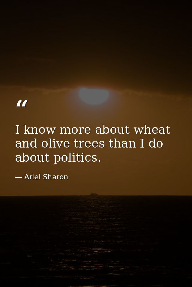 I know more about wheat and olive trees than I do about politics. — Ariel Sharon
