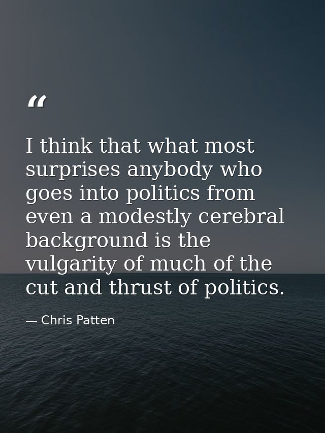 I think that what most surprises anybody who goes into politics from even a modestly cerebral background is the vulgarit — Chris Patten