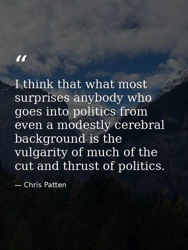 I think that what most surprises anybody who goes into politics from even a modestly cerebral background is the vulgarit — Chris Patten