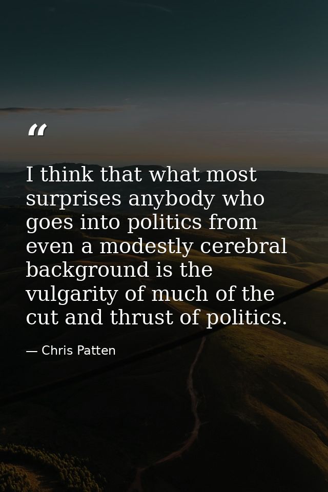 I think that what most surprises anybody who goes into politics from even a modestly cerebral background is the vulgarit — Chris Patten