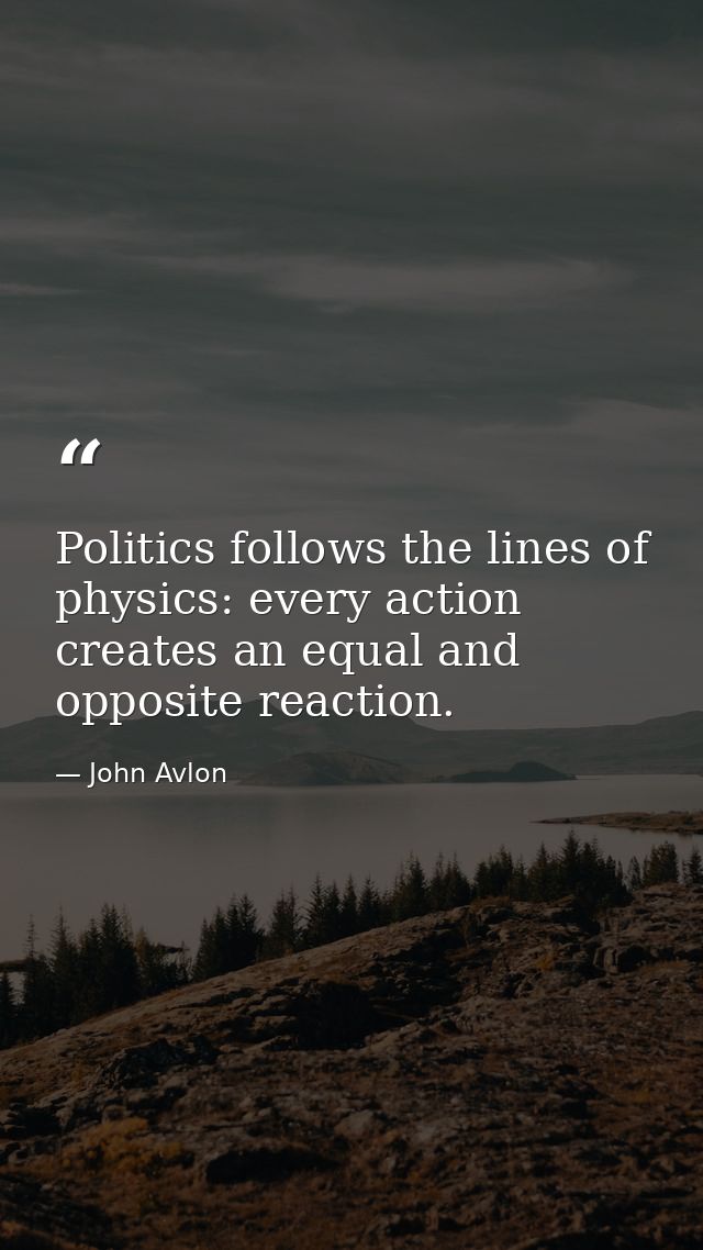 Politics follows the lines of physics: every action creates an equal and opposite reaction. — John Avlon
