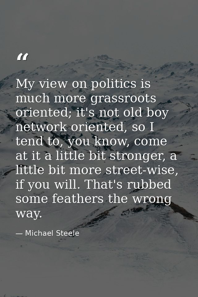 My view on politics is much more grassroots oriented; it's not old boy network oriented, so I tend to, you know, come at — Michael Steele