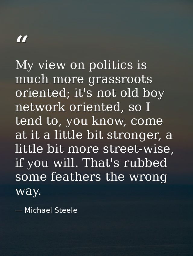 My view on politics is much more grassroots oriented; it's not old boy network oriented, so I tend to, you know, come at — Michael Steele