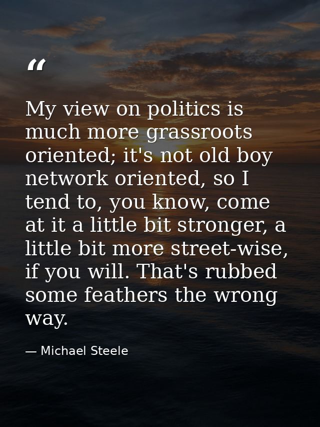 My view on politics is much more grassroots oriented; it's not old boy network oriented, so I tend to, you know, come at — Michael Steele