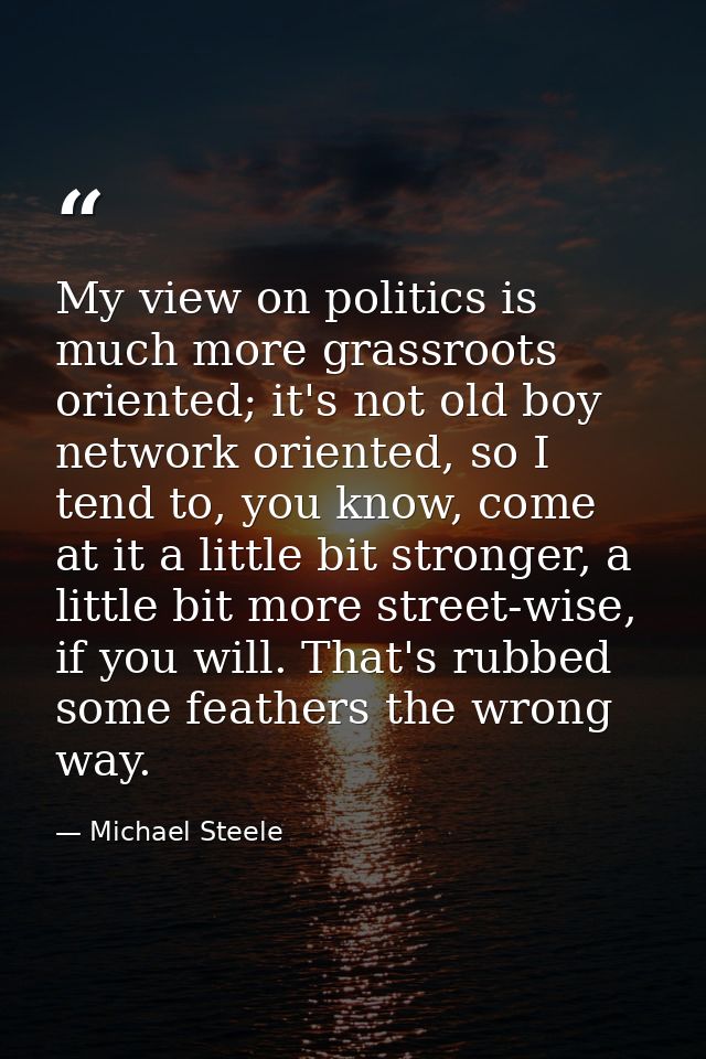My view on politics is much more grassroots oriented; it's not old boy network oriented, so I tend to, you know, come at — Michael Steele