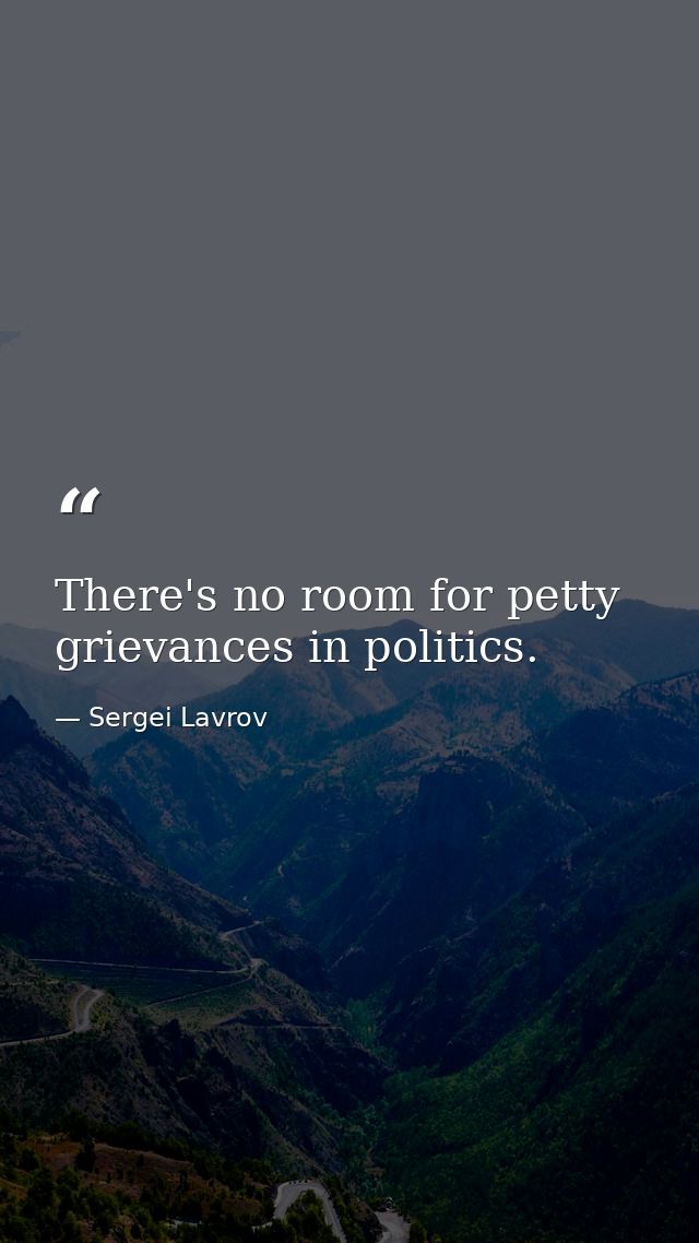 There's no room for petty grievances in politics. — Sergei Lavrov