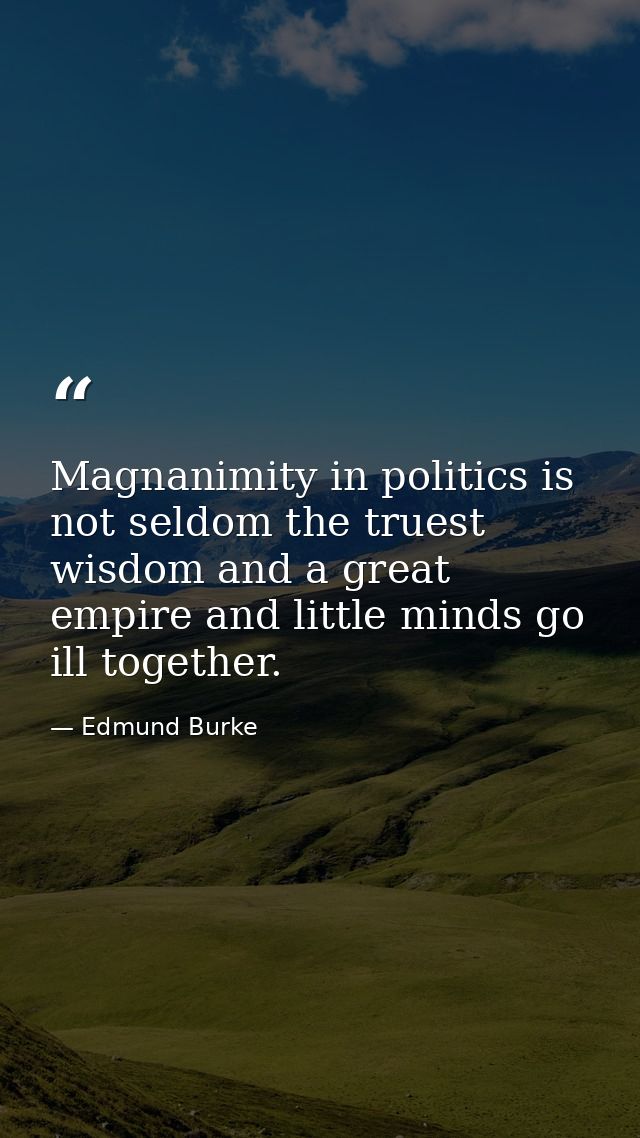 Magnanimity in politics is not seldom the truest wisdom and a great empire and little minds go ill together. — Edmund Burke
