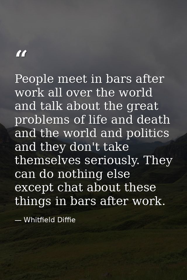 People meet in bars after work all over the world and talk about the great problems of life and death and the world and  — Whitfield Diffie