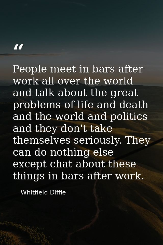 People meet in bars after work all over the world and talk about the great problems of life and death and the world and  — Whitfield Diffie