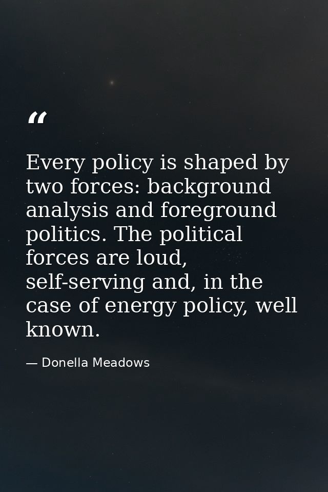 Every policy is shaped by two forces: background analysis and foreground politics. The political forces are loud, self-s — Donella Meadows