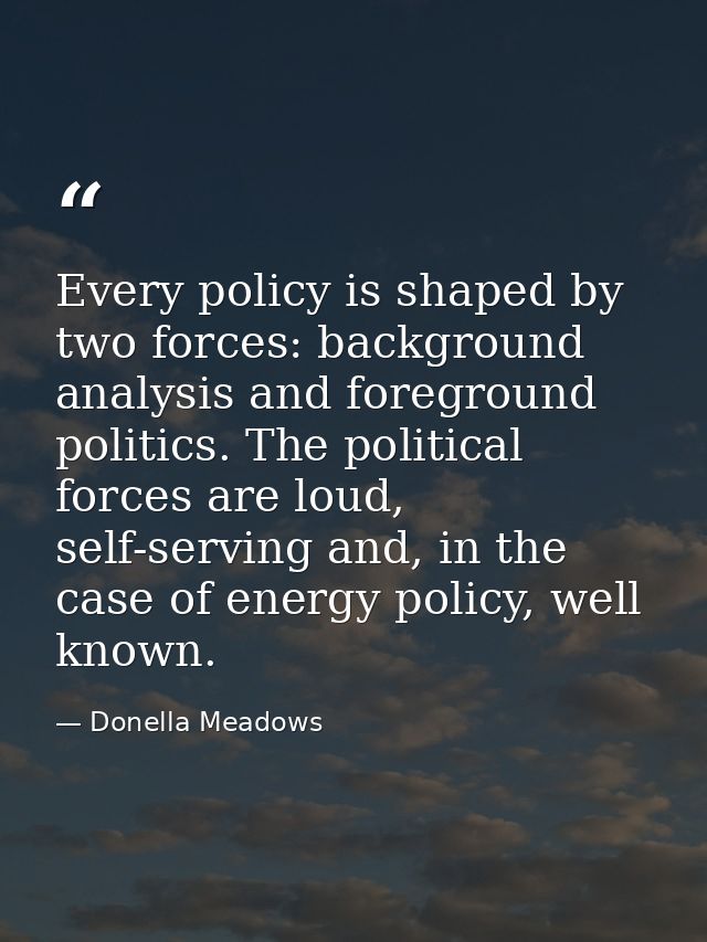 Every policy is shaped by two forces: background analysis and foreground politics. The political forces are loud, self-s — Donella Meadows