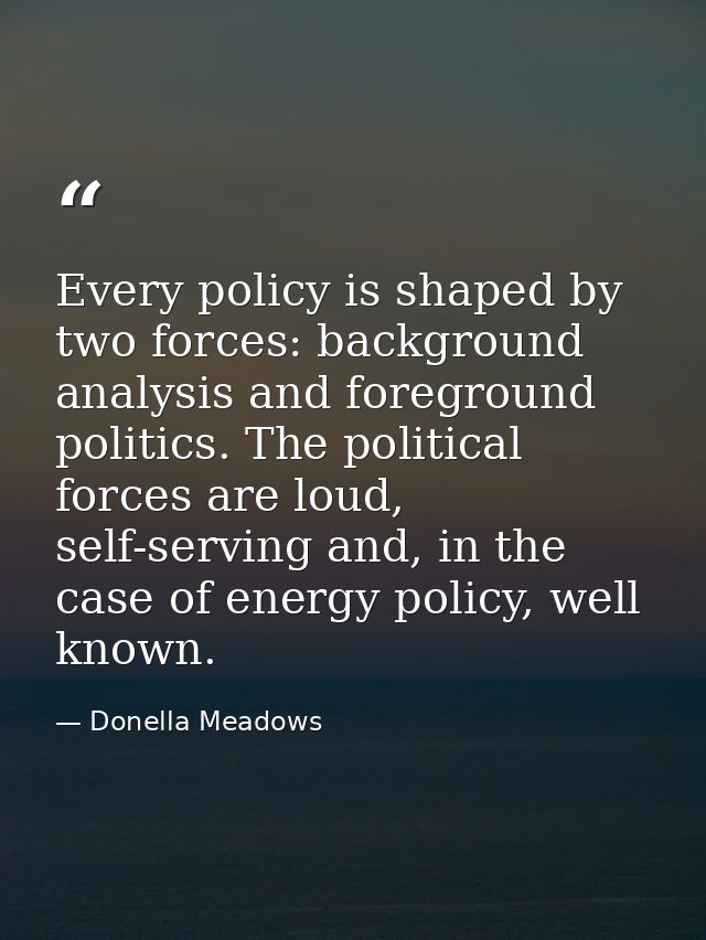 Every policy is shaped by two forces: background analysis and foreground politics. The political forces are loud, self-s — Donella Meadows