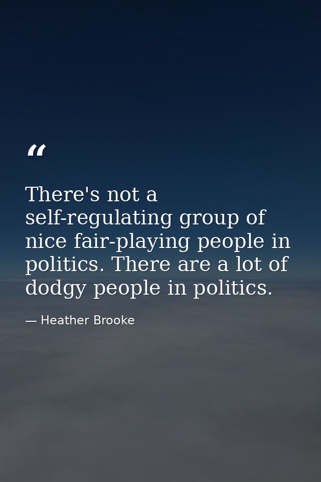 There's not a self-regulating group of nice fair-playing people in politics. There are a lot of dodgy people in politics — Heather Brooke