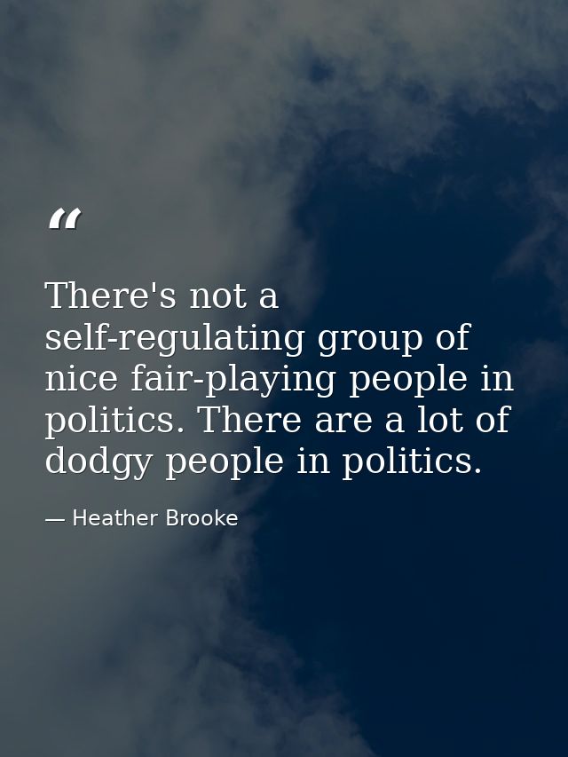 There's not a self-regulating group of nice fair-playing people in politics. There are a lot of dodgy people in politics — Heather Brooke