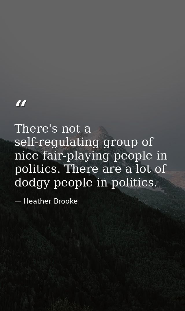 There's not a self-regulating group of nice fair-playing people in politics. There are a lot of dodgy people in politics — Heather Brooke