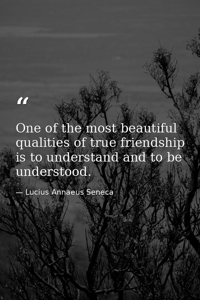 One of the most beautiful qualities of true friendship is to understand and to be understood. — Lucius Annaeus Seneca
