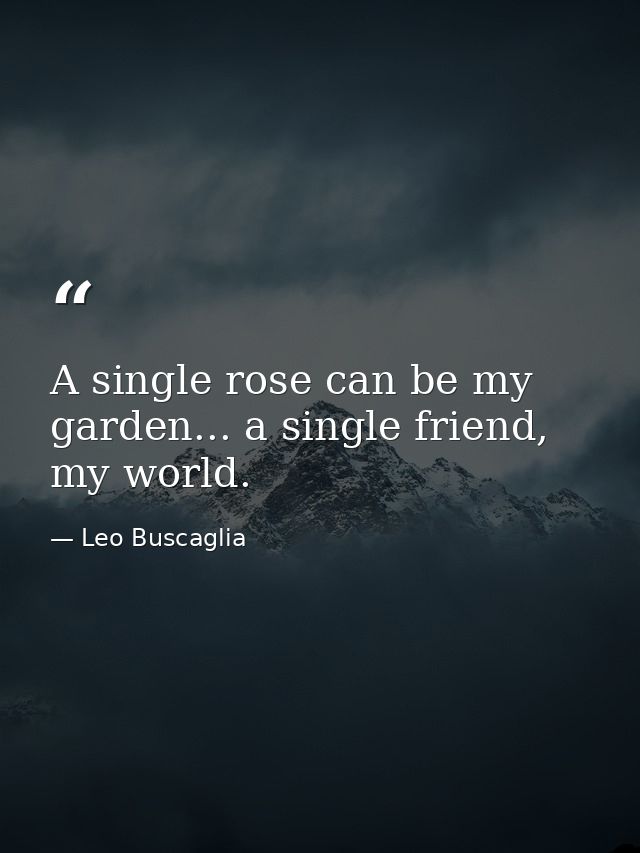 A single rose can be my garden... a single friend, my world. — Leo Buscaglia