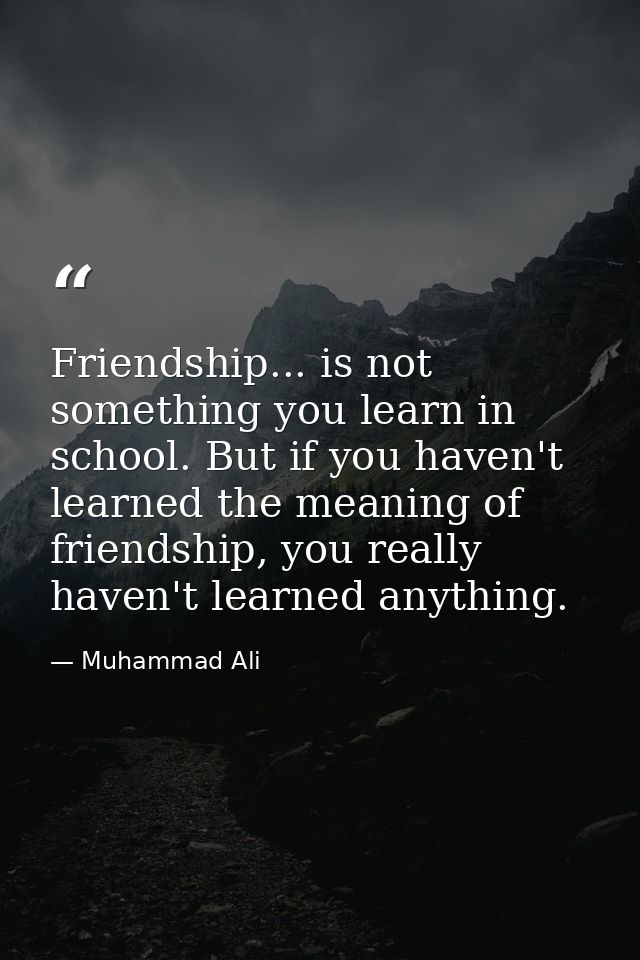 Friendship... is not something you learn in school. But if you haven't learned the meaning of friendship, you really hav — Muhammad Ali