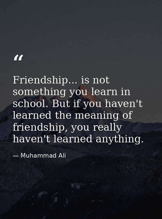 Friendship... is not something you learn in school. But if you haven't learned the meaning of friendship, you really hav — Muhammad Ali