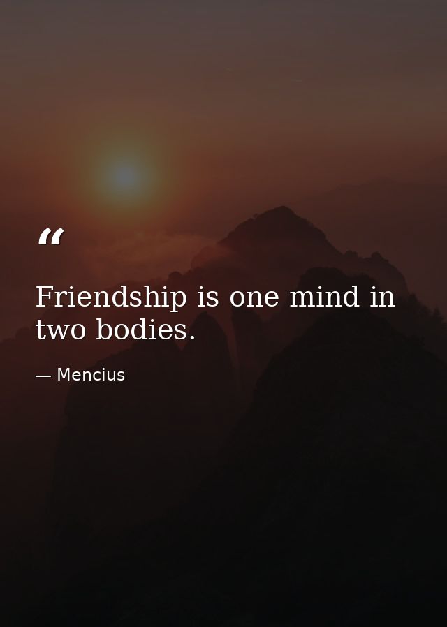 Friendship is one mind in two bodies. — Mencius