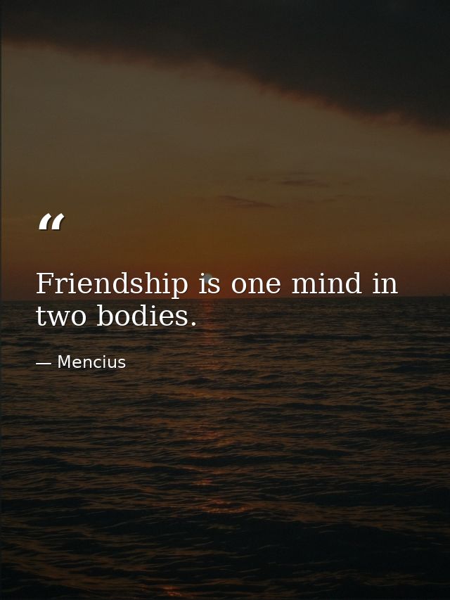 Friendship is one mind in two bodies. — Mencius