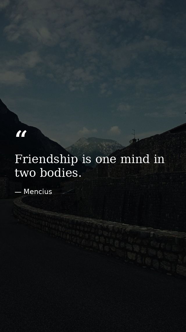Friendship is one mind in two bodies. — Mencius