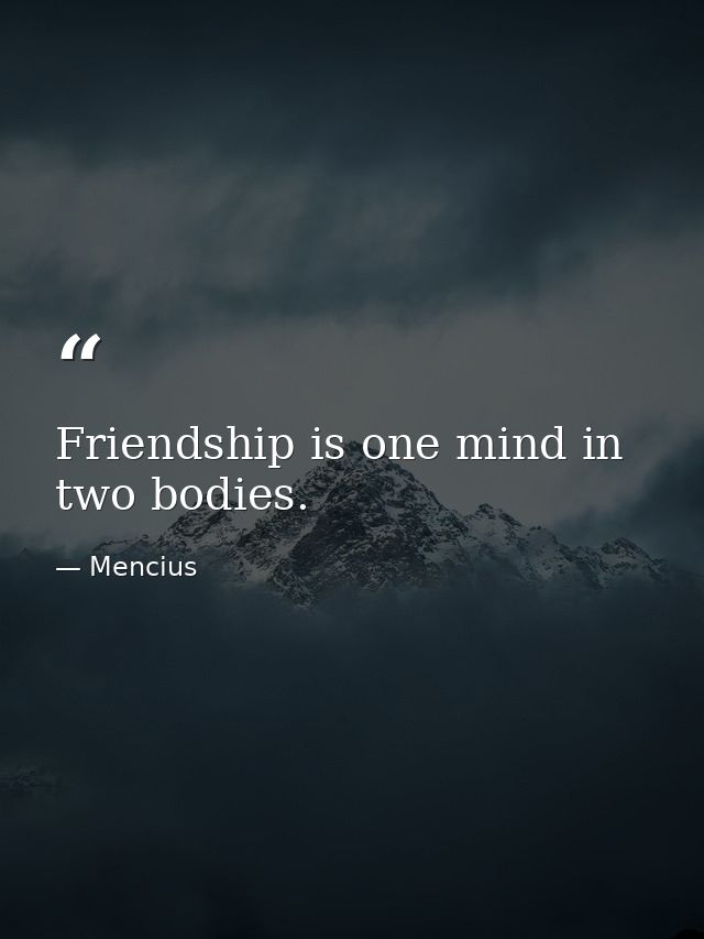 Friendship is one mind in two bodies. — Mencius