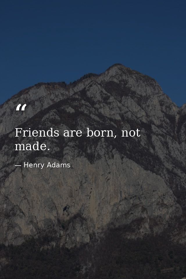 Friends are born, not made. — Henry Adams