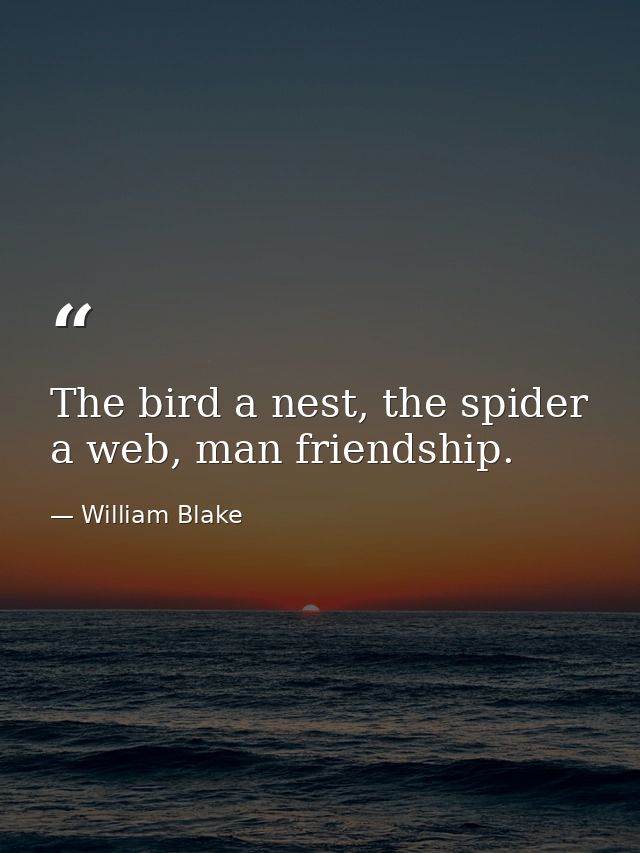 The bird a nest, the spider a web, man friendship. — William Blake