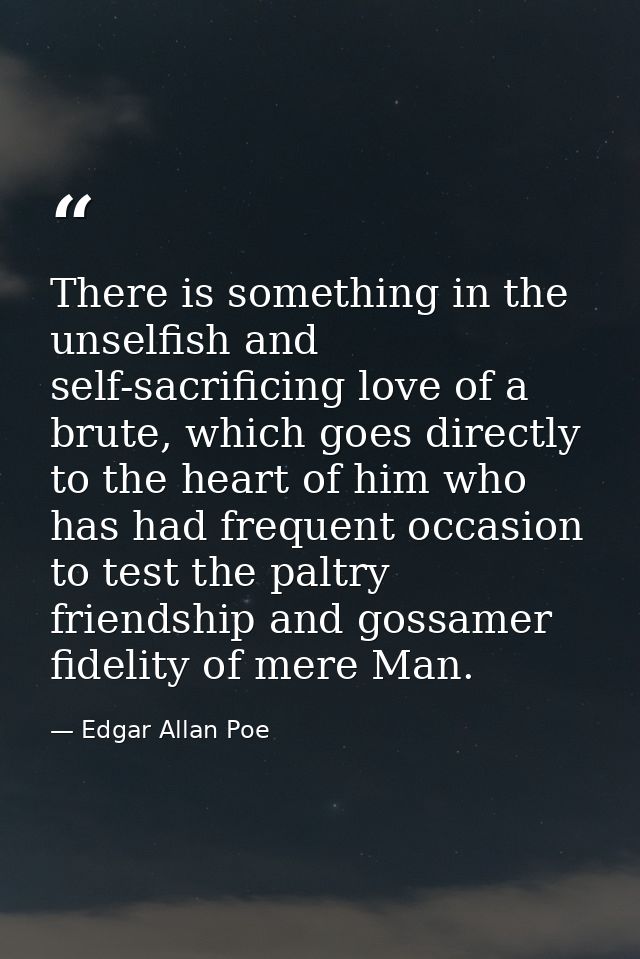 There is something in the unselfish and self-sacrificing love of a brute, which goes directly to the heart of him who ha — Edgar Allan Poe