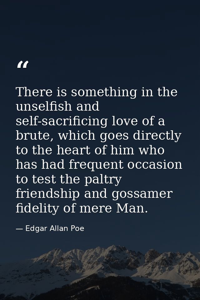 There is something in the unselfish and self-sacrificing love of a brute, which goes directly to the heart of him who ha — Edgar Allan Poe