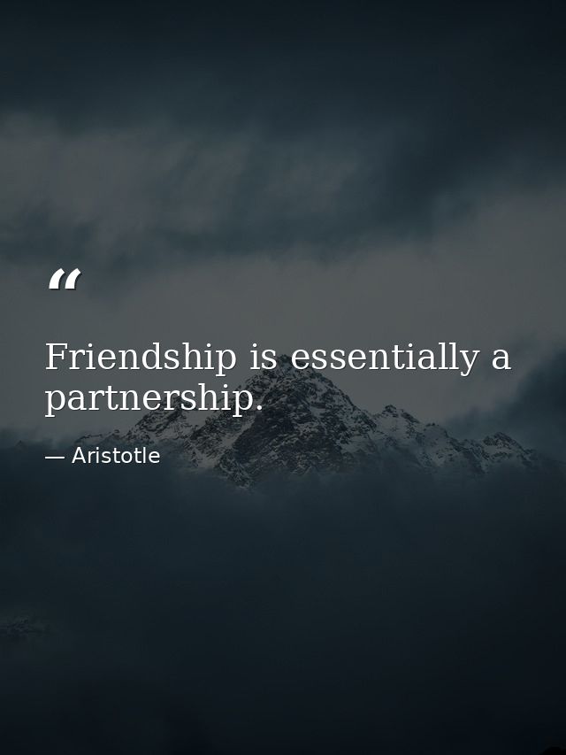 Friendship is essentially a partnership. — Aristotle