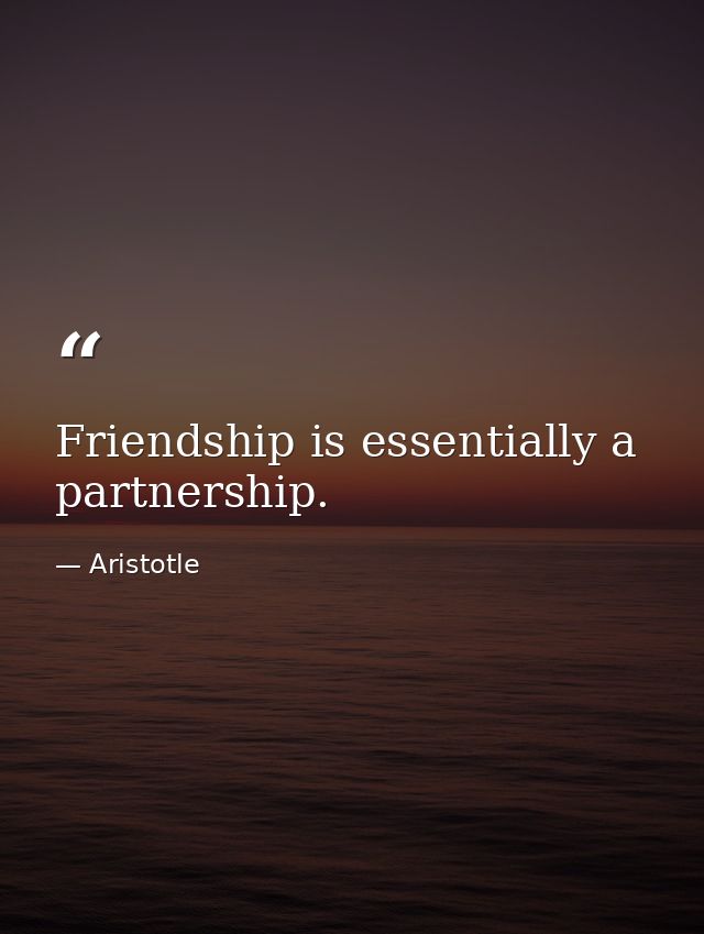 Friendship is essentially a partnership. — Aristotle