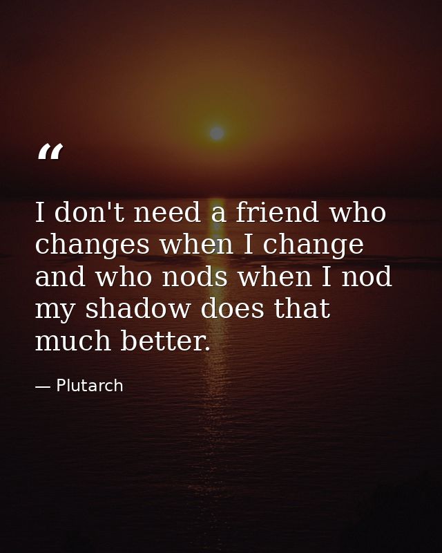 I don't need a friend who changes when I change and who nods when I nod my shadow does that much better. — Plutarch