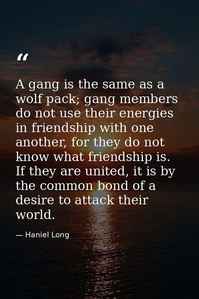 A gang is the same as a wolf pack; gang members do not use their energies in friendship with one another, for they do no — Haniel Long