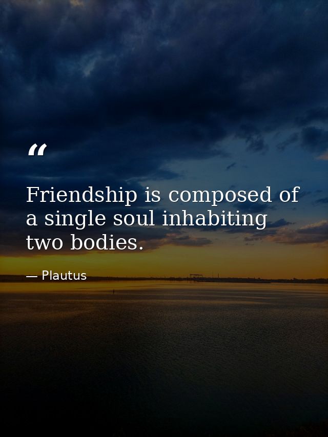 Friendship is composed of a single soul inhabiting two bodies. — Plautus