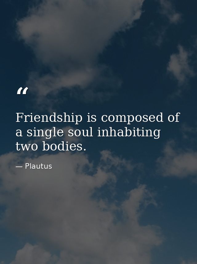 Friendship is composed of a single soul inhabiting two bodies. — Plautus