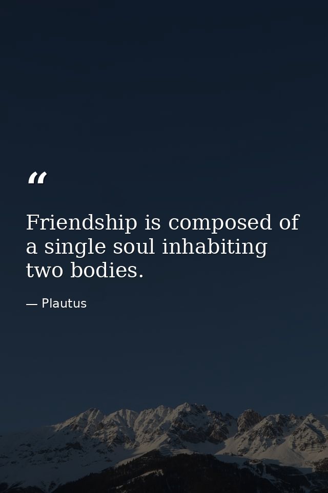 Friendship is composed of a single soul inhabiting two bodies. — Plautus