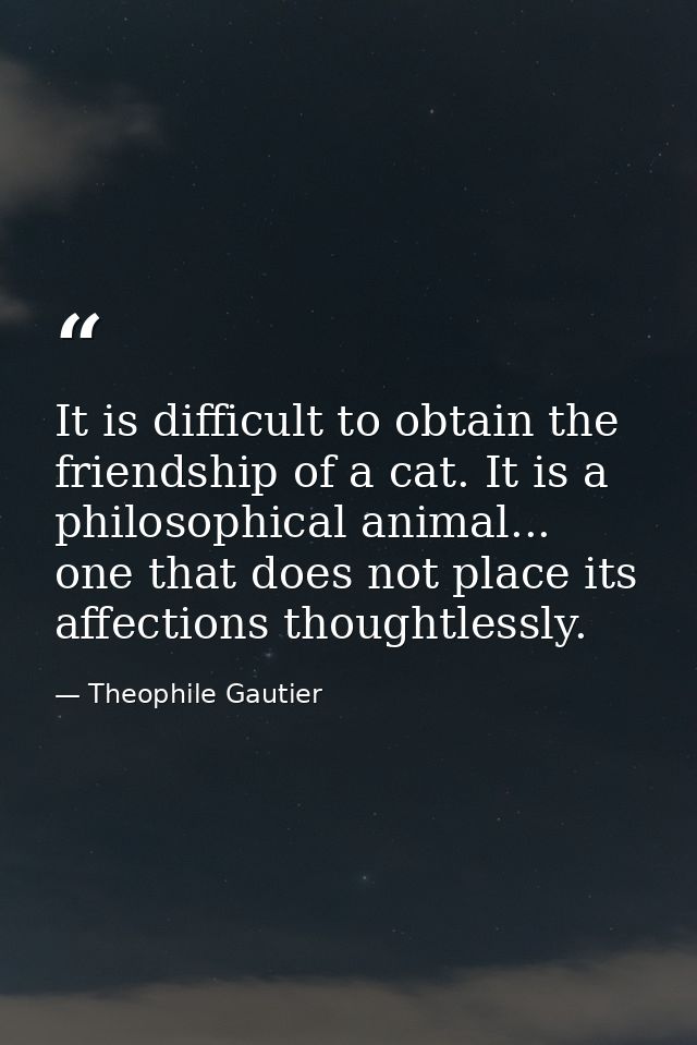 It is difficult to obtain the friendship of a cat. It is a philosophical animal... one that does not place its affection — Theophile Gautier