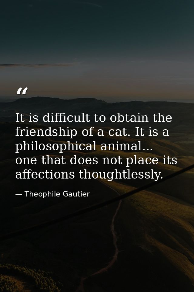 It is difficult to obtain the friendship of a cat. It is a philosophical animal... one that does not place its affection — Theophile Gautier