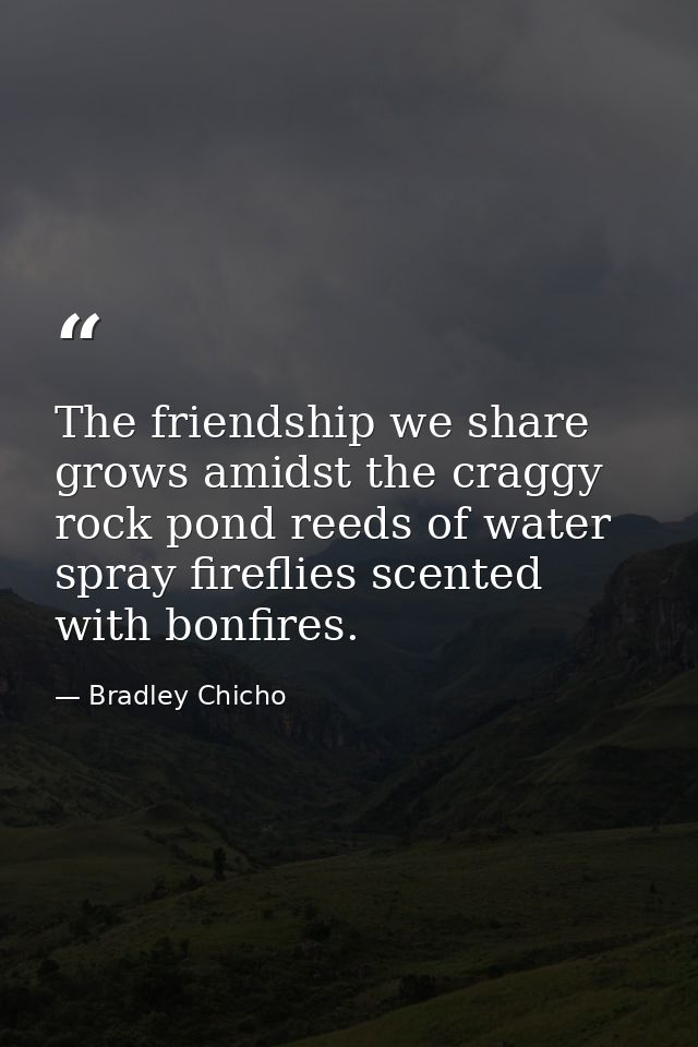 The friendship we share grows amidst the craggy rock pond reeds of water spray fireflies scented with bonfires. — Bradley Chicho