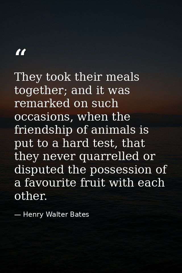 They took their meals together; and it was remarked on such occasions, when the friendship of animals is put to a hard t — Henry Walter Bates