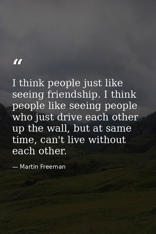 I think people just like seeing friendship. I think people like seeing people who just drive each other up the wall, but — Martin Freeman